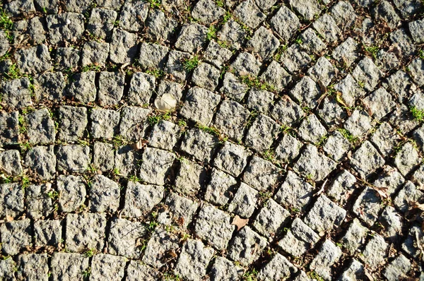 Pavimentatori in pietra ed erba verde in mezzo . — Foto Stock