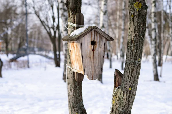 Birdhouse su un albero nella foresta invernale . — Foto Stock