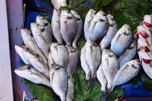 Морская Рыба Cupra Уличном Рынке Стамбуле Турция — стоковое фото