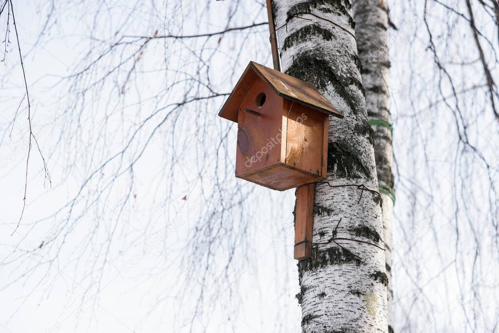 Wooden birdhouse on a tree in winter, Russia.