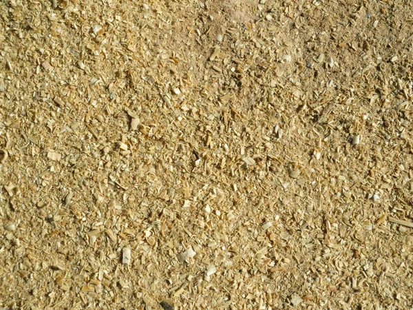 Üst Manzara Doğal Küçük Çam Talaşı — Stok fotoğraf