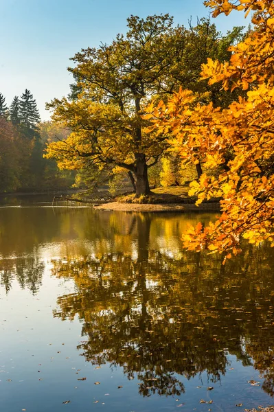 Beauotiful färgglada hösten — Stockfoto