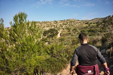 Gri spor elbiseli çocuk güneşli bir günde ve temiz havada Batı Avrupa 'dan gelen doğanın tadını çıkarıyor.