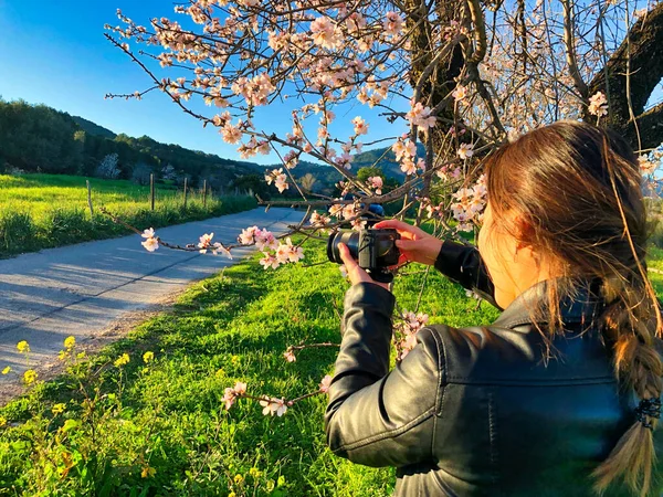 georges asian lady with black leader jacket making nice photography set with her smartphone to an almond tree in a sunny day at mallorca, spain.