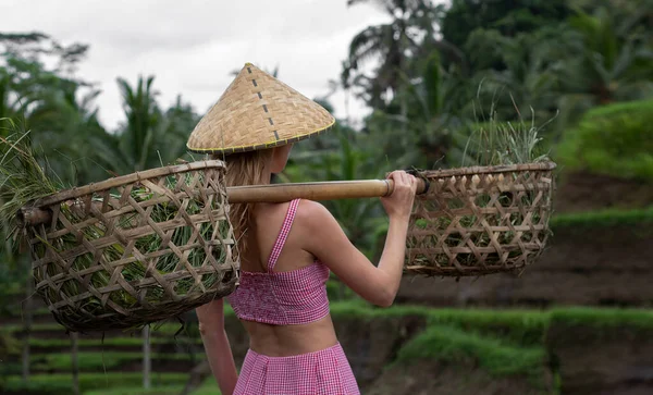 Güneydoğu Asya Halkının Vietnam Kırsalındaki Yaşam Tarzı Pirinç Tarlalarındaki Kadın — Stok fotoğraf