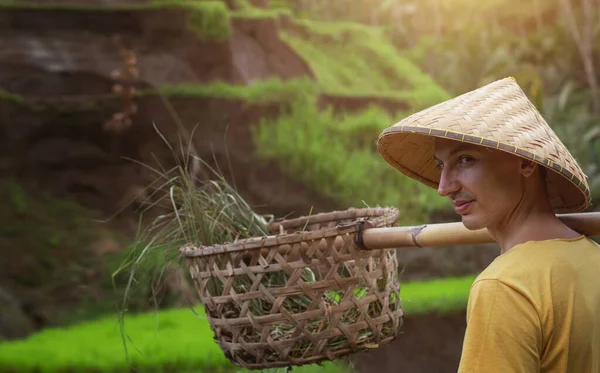 Güneydoğu Asyalıların Yaşam Tarzı Vietnam Kırsalında Pirinç Tarlalarında Bir Çiftçi — Stok fotoğraf