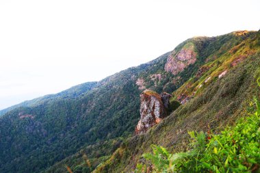 Manzara dağ ve doğa ile bulut, yeşil orman ve büyük dağ yürüyüş insanların ormanda hangi keyfin yerinde tatil ve şehir hayatında bulamadım.