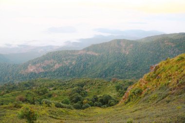 Manzara dağ ve doğa ile bulut, yeşil orman ve büyük dağ yürüyüş insanların ormanda hangi keyfin yerinde tatil ve şehir hayatında bulamadım.