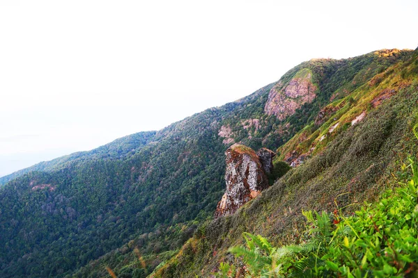 Manzara dağ ve doğa ile bulut, yeşil orman ve büyük dağ yürüyüş insanların ormanda hangi keyfin yerinde tatil ve şehir hayatında bulamadım.