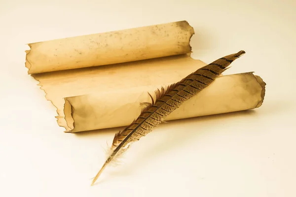 Rollo de pergamino con pluma y tintero — Foto de Stock