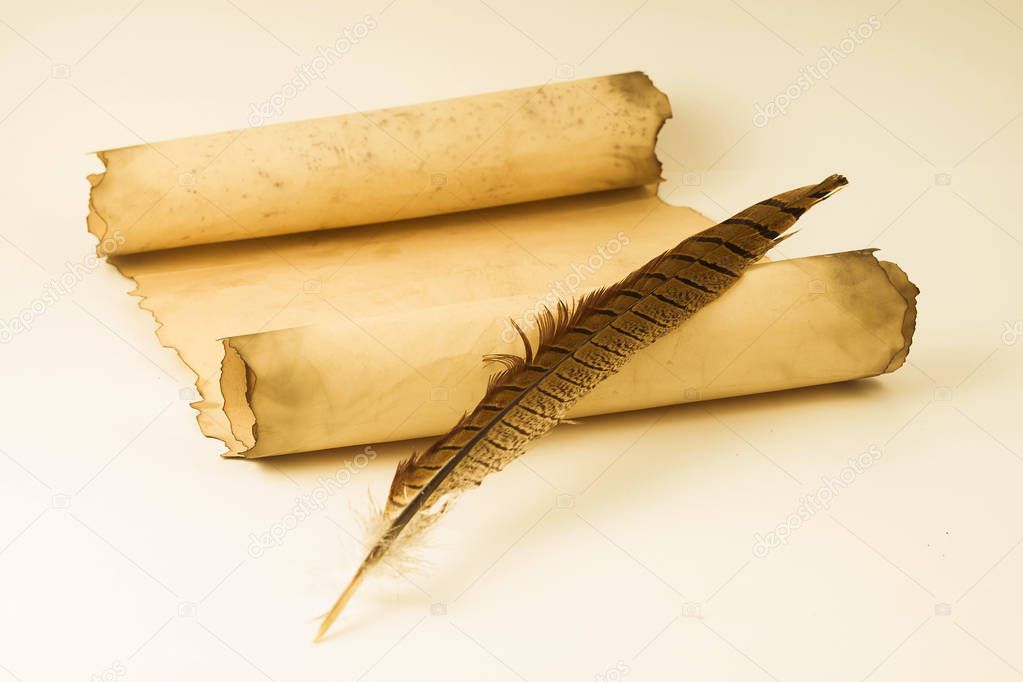 Roll of parchment with a pen and inkwell 