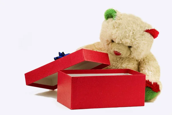 Teddy looking for packages with gift — Stock Photo, Image