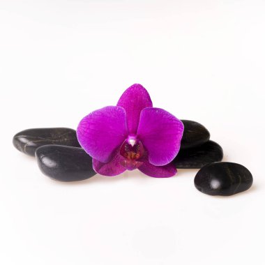 Çiçek aranjmanı - parlak arka planda orchises 