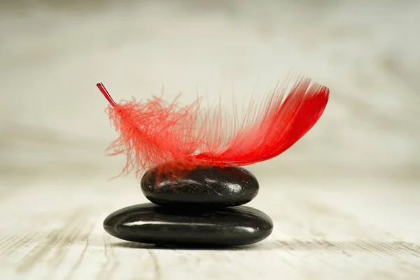 红色的羽毛，黑色的石头上 — 图库照片