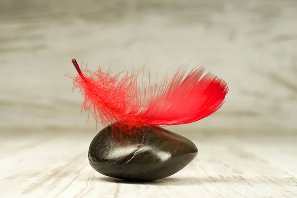 Röd fjäder på svarta stenar — Stockfoto