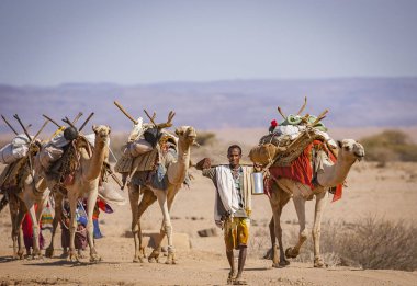 Deve Caravane yolda Cibuti, Afrika, Doğu Afrika Grand Bara çöl yoluyla