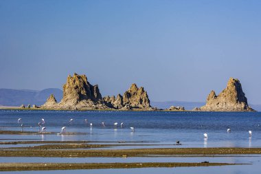 Lake Abbe Landscape with Flamingos and Volcanic rock formations, Djibouti clipart