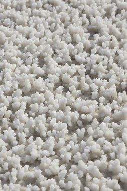 Doğu Afrika 'daki Cibuti Şehri yakınlarındaki Tuz Gölü' nün etrafındaki tuz kristalleri.