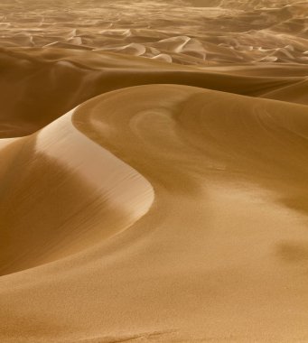 Curvey çöl Dunes yağmurdan sonra