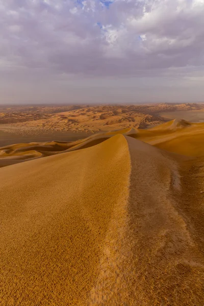 Endless Rub'al Khali right after the Rain — Stock Photo, Image