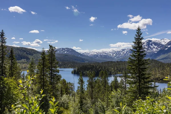 Norwegian Countryside Landscape — Stock Photo, Image