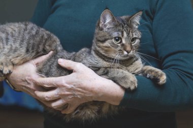 Cat eller yaşlı adam Tarih: