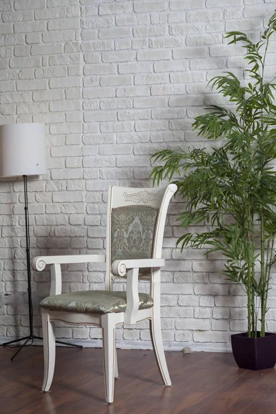 antique ivory chair against the wall and artificial plants