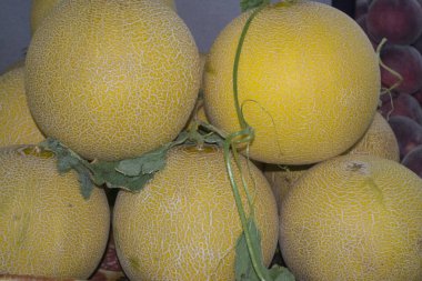 Üstünde belgili tanımlık sayaç sarı kavun