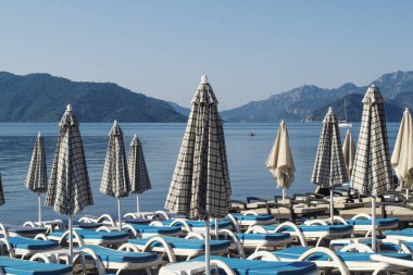 Mavi şezlong ve şemsiye bir plajda palmiye ağaçları ile tropikal bir ortamda bir dizi