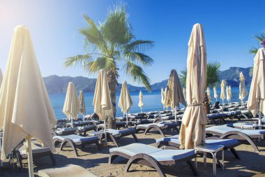 Mavi şezlong ve şemsiye bir plajda palmiye ağaçları ile tropikal bir ortamda bir dizi