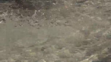 Damla sonbahar su yüzeyine yakın çekim