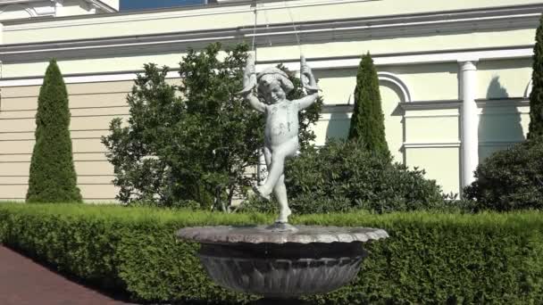 Fontein Plassen Jongen Bijgesneden Planten — Stockvideo