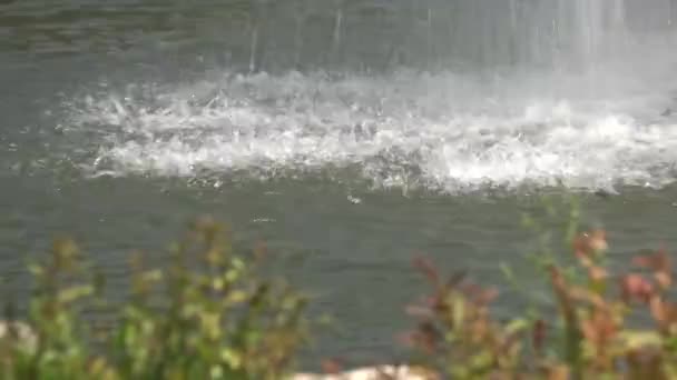 Fontaine tombe gros plan — Video