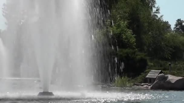 公园里的一个灿烂的喷泉 安装在池塘里 — 图库视频影像