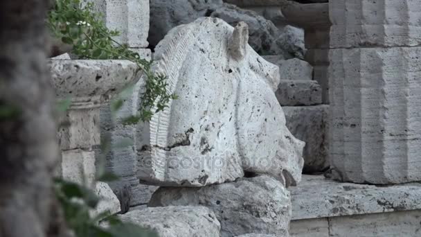 Lá as colunas do Parthenon, as metáforas do Parthenon, a cabeça famosa do cavalo — Vídeo de Stock