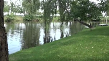 Yeşil sahil, gölet, pürüzsüz kamp