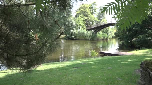 Belo Parque Com Lago Uma Ponte — Vídeo de Stock