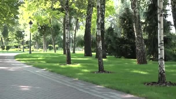 Hermoso Callejón Parque — Vídeo de stock