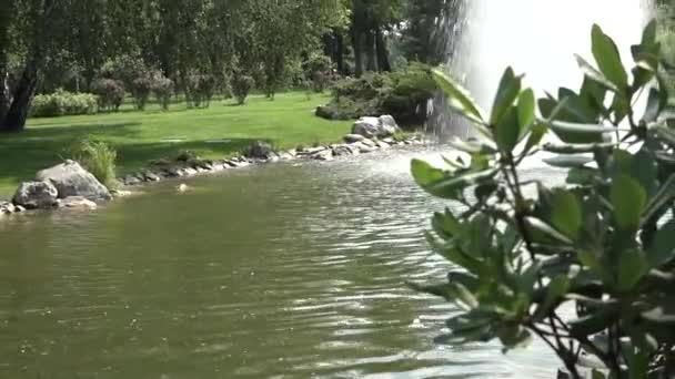 La fontaine est située à la surface de l'eau dans un étang au milieu du parc 