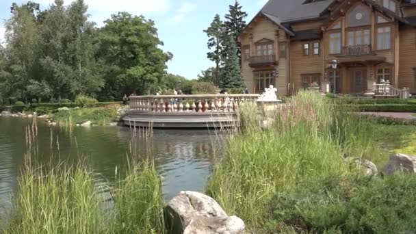 风景如画的池塘在公园里 — 图库视频影像
