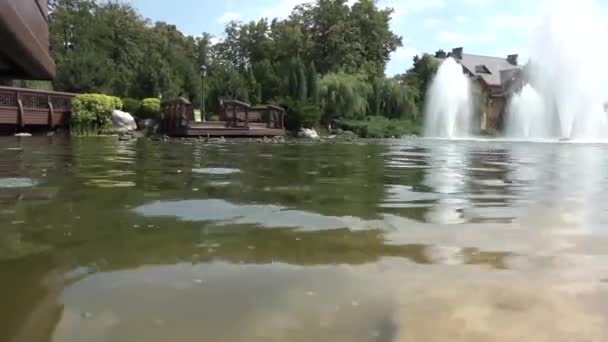 Jezero Parku Fontánami Kachny Jsou Plavání — Stock video