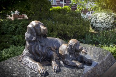 Kiev, Ukrayna - 9 Mayıs 2018: 