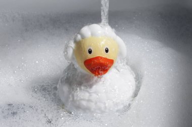Koyun kostümü giymiş plastik bir ördek. Tuvalet için komik bir oyuncak. Banyo köpüğü.
