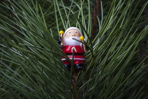 Іграшка Миколая Тлі Зеленого Різдвяного Дерева — стокове фото