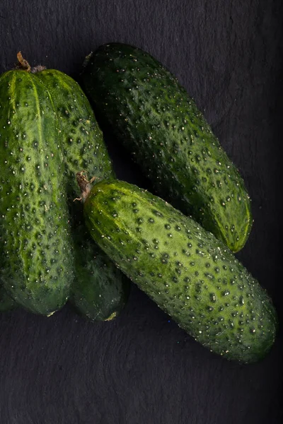 Cucumbers background Cucumbers harvest. A lot of cucumbers. cucumbers from the field.