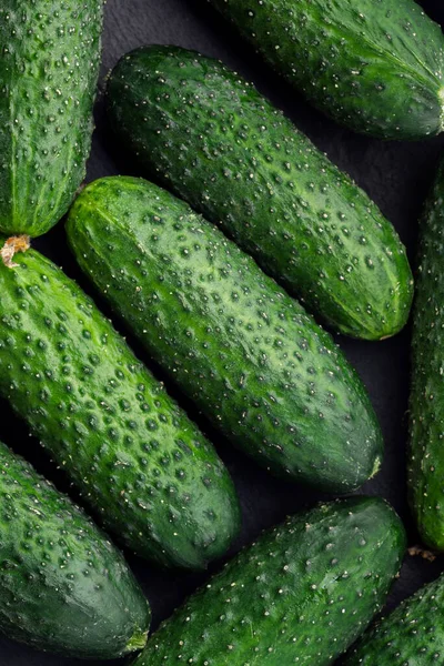 Cucumbers background Cucumbers harvest. A lot of cucumbers. cucumbers from the field.