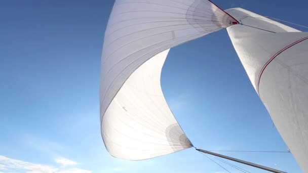 Proper configuration of the spinnaker on a fair wind — Stockvideo