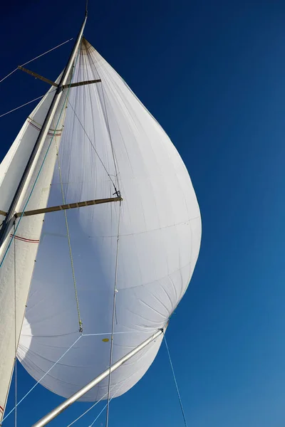 Rigging o spinnaker simétrico — Fotografia de Stock