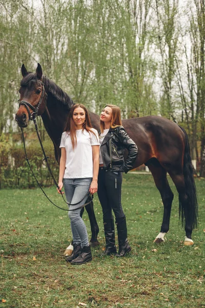 Красивая девушка общается с лошадью в парке — стоковое фото