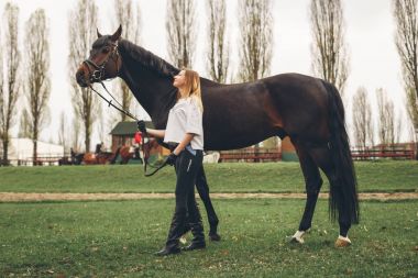 Güzel kız parkta bir at ile iletişim kurar